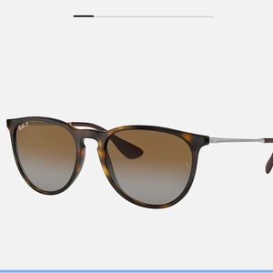 Ray-Ban Erika Polarized Sunglasses